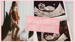 ZWANGER van ons DERDE KINDJE 💛  Zwangerschapsaankondiging  gender reveal  Wil amp Tien [upl. by Rochella320]