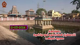 🔴LIVEதிருவேற்காடு அருள்மிகு தேவிகருமாரியம்மன் உண்டியல் திறப்பு 2132024 நேரலை [upl. by Haberman]