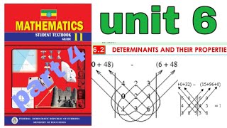 mathematics grade 11 Determinants and their properties [upl. by Leopold]