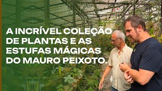 AS PLANTAS incríveis e a coleção do Mauro Peixoto [upl. by Zerdna]