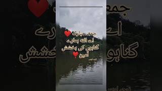 Fridayjummamubarak jummamubarakstatus ❤️khutbahjumat sad zojaawais nature islamicbayan [upl. by Root]