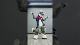 Do the niconiconi dance niconiconii lovelive kemono kemonofurry kemonofursuit furrytiktok [upl. by Annodam]