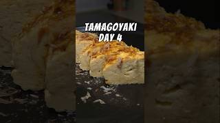 Cooking Tamagoyaki Everyday Until Perfect🔥 Day4 Tamagoyaki japanesefood egg omelette eggrecipe [upl. by Richmal]