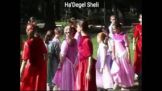 HaDegel Sheli  My Flag  Adna Lev [upl. by Ahrens]