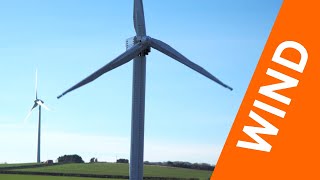 Wind Energy  GCSE Physics [upl. by Assilat605]