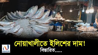 নোয়াখালীতে ইলিশের দাম বিস্তারিত Noakhali tvs Videos [upl. by Yenahc]