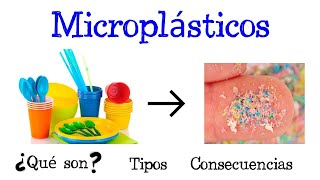 🌐 ¿Qué son los Microplásticos 🌐 Tipos y Consecuencias Fácil y Rápido  QUÍMICA [upl. by Moseley555]