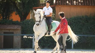 Lusitano International Dressage Team Clinic [upl. by Enair]