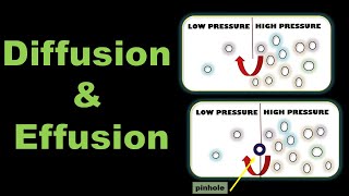 Diffusion and Effusion of Gases Definition Examples and Difference  State of Matter Gaseous State [upl. by Aibat]