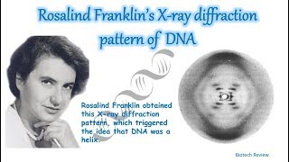 Rosalind Franklins Xray Diffraction Pattern of DNA explained   DNA structure [upl. by Llenrrad293]