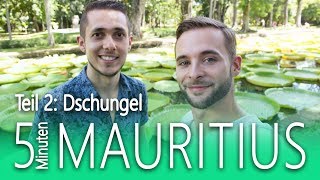 Mauritius in 5 Minuten Teil 22 🐵 Mauritius Dschungel Abenteuer [upl. by Marou]