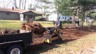 Vermeer Mini skid steer with grapple [upl. by Athenian]