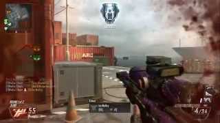 Call of Duty Black ops 2 Sniper Montage 14 [upl. by Enomyar]