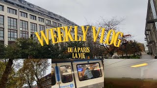 Ya eu un craquage  DU à ParisWeekly Vlog [upl. by Eanat]