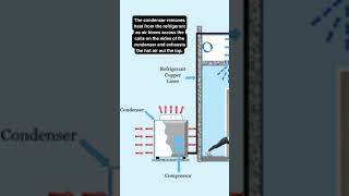 Basics of How Air Conditioning Works Part 2 hvac shortvideo airconditioner condenser [upl. by Leakcim]