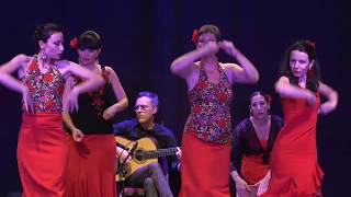 Flamenco Metis Spectacle Montauban 2018 quotLe coffret de lumièrequot [upl. by Maroj]