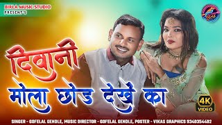 Gofelal Gendle  Diwani Mola Chhod Debe Ka  New Cg Song [upl. by Gael]