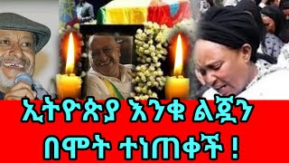 ኢትዮጵያ ታላቅ ልጇን በሞት ተነጠቀች  አንጋፋው ገጣሚ እና ደራሲ ነቢይ መኮንን  Nebiy Mekonnen [upl. by Enibas964]