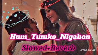 HumTumkoNigahon mein  slowedReverb Salman Khan Hind songs  lofi song [upl. by Kroll]