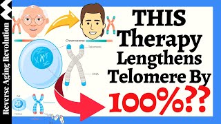 THIS Therapy Lengthens Telomere By 100  Reported By A 83 Year Old Doctor [upl. by Elbert]