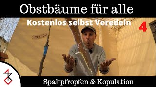 Obstbäume selbst Veredeln  Spaltpfropfen und Kopulation [upl. by Nakah]