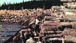 1950s Sawmill Workers Educational Documentary  Timber In The Northeast  CharlieDeanArchives [upl. by Lhok]