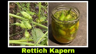 eingelegte Rettich Radieschen Samenkapseln  falsche Kapern Rezept  Selbstversorgung [upl. by Rae843]