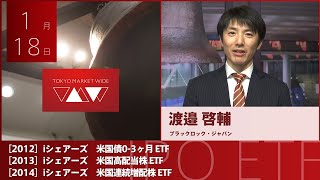 iシェアーズ 米国連続増配株 ETF 他2銘柄［201220132014］東証ETF IPO [upl. by Yraccaz]