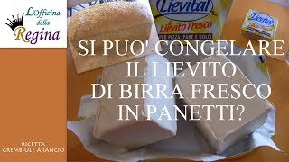 Come congelare il lievito di birra fresco in cubetti [upl. by Charmane]