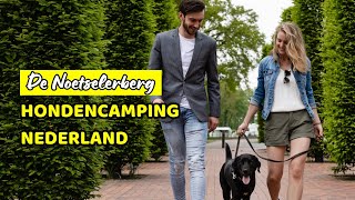 Hondencamping Nederland Noetselerberg [upl. by Nadean]