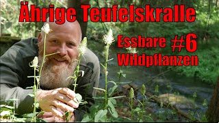 Essbare Wildpflanzen 6 Ährige Teufelskralle Phyteuma spicatum [upl. by Cruce]