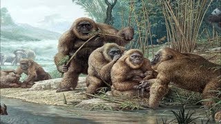 Gigantopithecus  Der Größte Affe Aller Zeiten  Dokumentation [upl. by Azeret931]