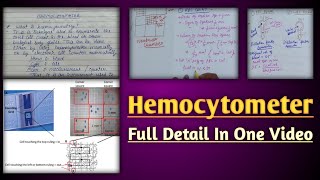 Hemocytometer  hemocytometer rbc count  calculation in neubaur chamber [upl. by Milford]