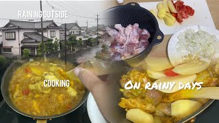 Cooking Chicken Curry on rainy day  Living In Japan Diaries [upl. by Ru]