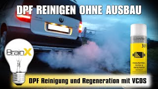 DPF reinigen ohne Ausbau  CLEANTEC Dieselpartikelfilter Reiniger Spray [upl. by Moureaux]