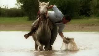 Mi Caballo y yo  Cholo Valderrama [upl. by Dee Dee657]