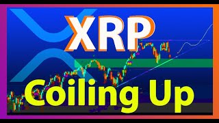 XRP Loaded for another HUGE Payments Channel 100000 Bitrue Giveaway Altcoins are on Bull Run [upl. by Zimmermann]