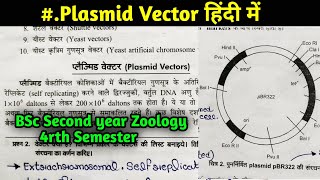 Plasmid Vectors  pBR322 Plasmid Vector  pUC8 Plasmid Vector BSc 2nd year Botany 4rth semester [upl. by Anoblav282]