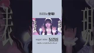 関西コレクション2023AWsugarnineコスプレステージ 🎃韓国アイドルユニットBilllieの皆さんがシュガーナインのアニマルコスプレを着て可愛くランウェイしてくれました💖Billlie [upl. by Tarrance]