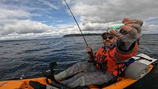 Hot Tacoma Blackmouth Bite Ends with BROKEN KAYAK PEDALS and Downrigger Snag [upl. by Zinah824]