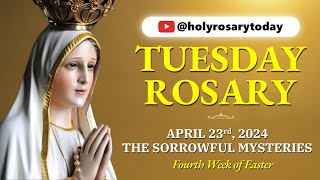 TUESDAY HOLY ROSARY 💛 APRIL 23 2024 💛 SORROWFUL MYSTERIES OF THE ROSARY VIRTUAL holyrosarytoday [upl. by Ynattir]