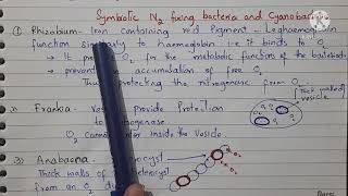 Nitrogenase Protection in Nitrogen fixing Bacteria and Cyanobacteria [upl. by Munniks]