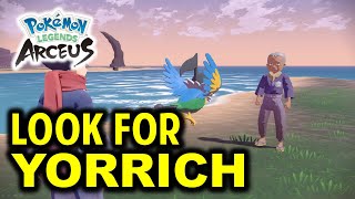 Look for YORRICH of the Construction Corps Setting up the Coastlands Camp  Pokemon Legends Arceus [upl. by Rellek]