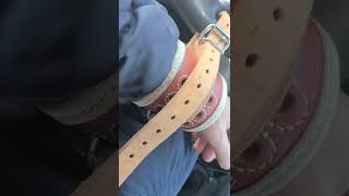 how to use leather restraints step by step [upl. by Cacia526]