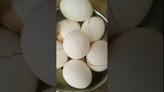 Boil egg viral shots [upl. by Loginov]