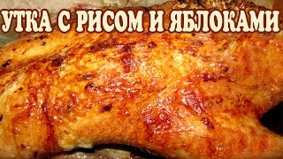 Рождественская утка с рисом и яблоками Утка с яблоками рецепт [upl. by Hazen]