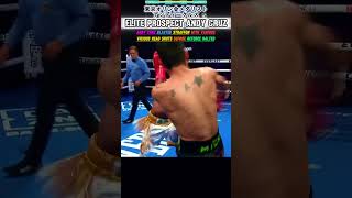 Andy Cruz vs Straffon東京オリン金メダリストライト級無敗のホープアンディークルスandycruz keyshawndavis gervontadavis [upl. by Dirgis]