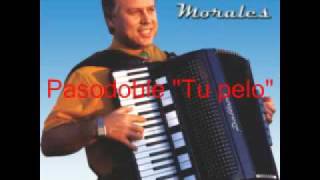 Pasodobles en acordeon Luis Morales [upl. by Oz631]