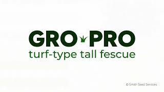 GroPro TurfType Tall Fescue [upl. by Zetnwahs978]