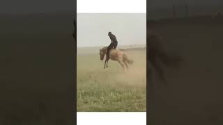 Мongolian horseman Монгол адуучин залуус [upl. by Persons]